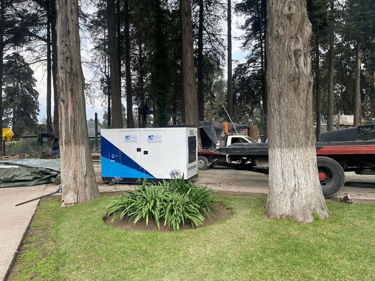 Renta de Plantas de Luz H020